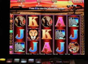 旺财28.ccpc29APP手机版